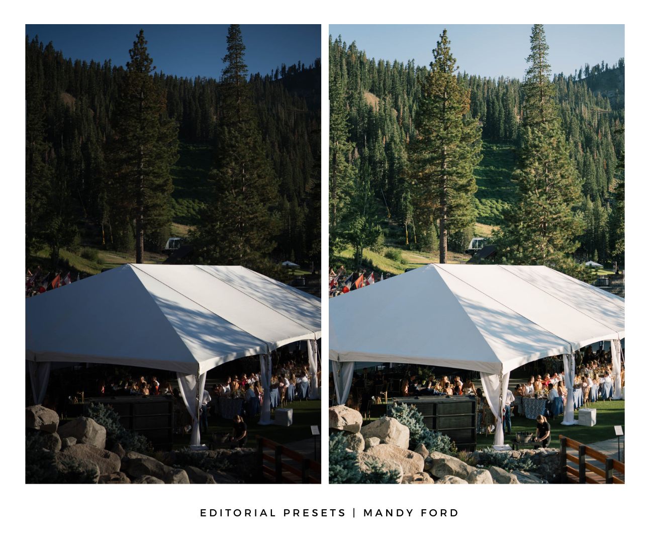 Editorial Presets