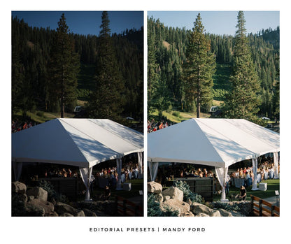 Editorial Presets